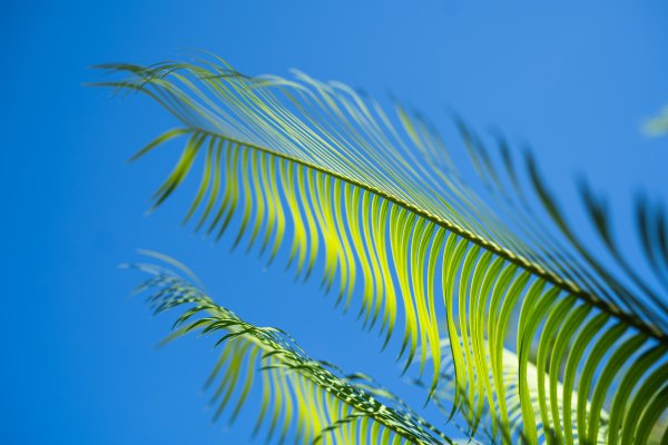 _DSC7371
