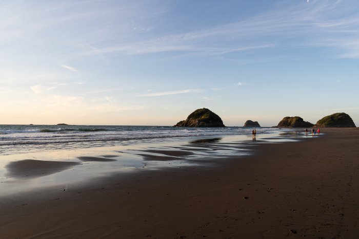 _DSC8650