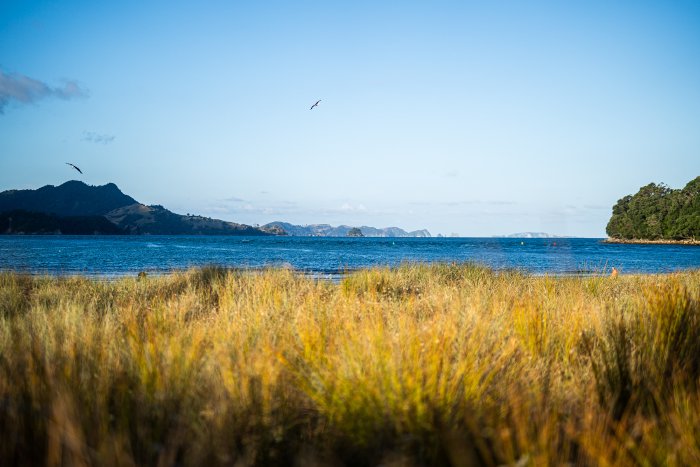 _DSC8825