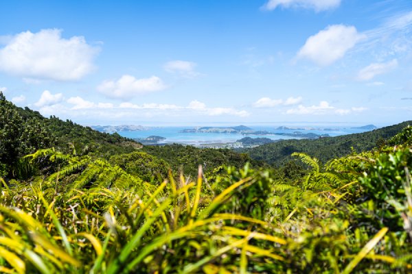 Oceania