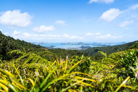 New Zealand North Island