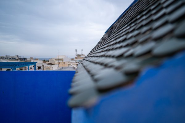 _DSC1081