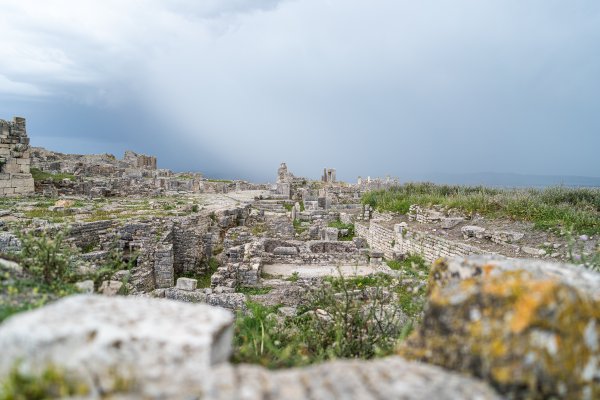 _DSC1289