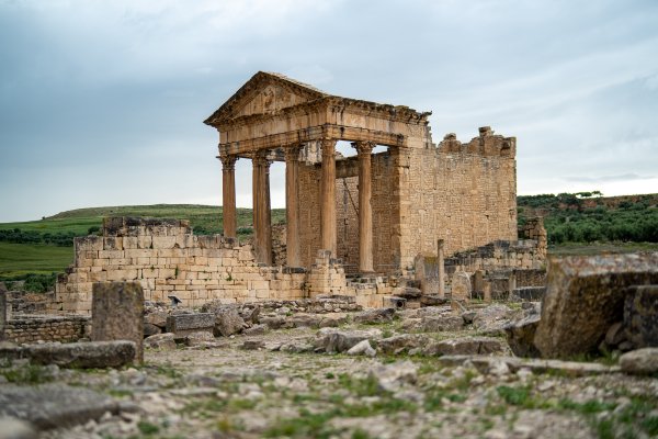 _DSC1310