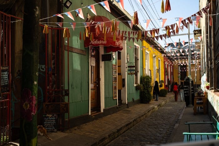 _DSC6539